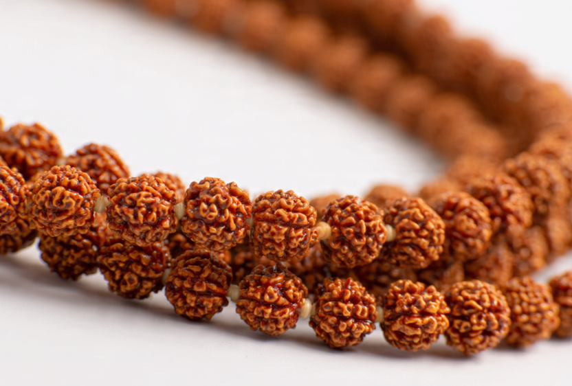 Rudraksha Mala (108+1 Beads, Bead Size: 12 mm each)